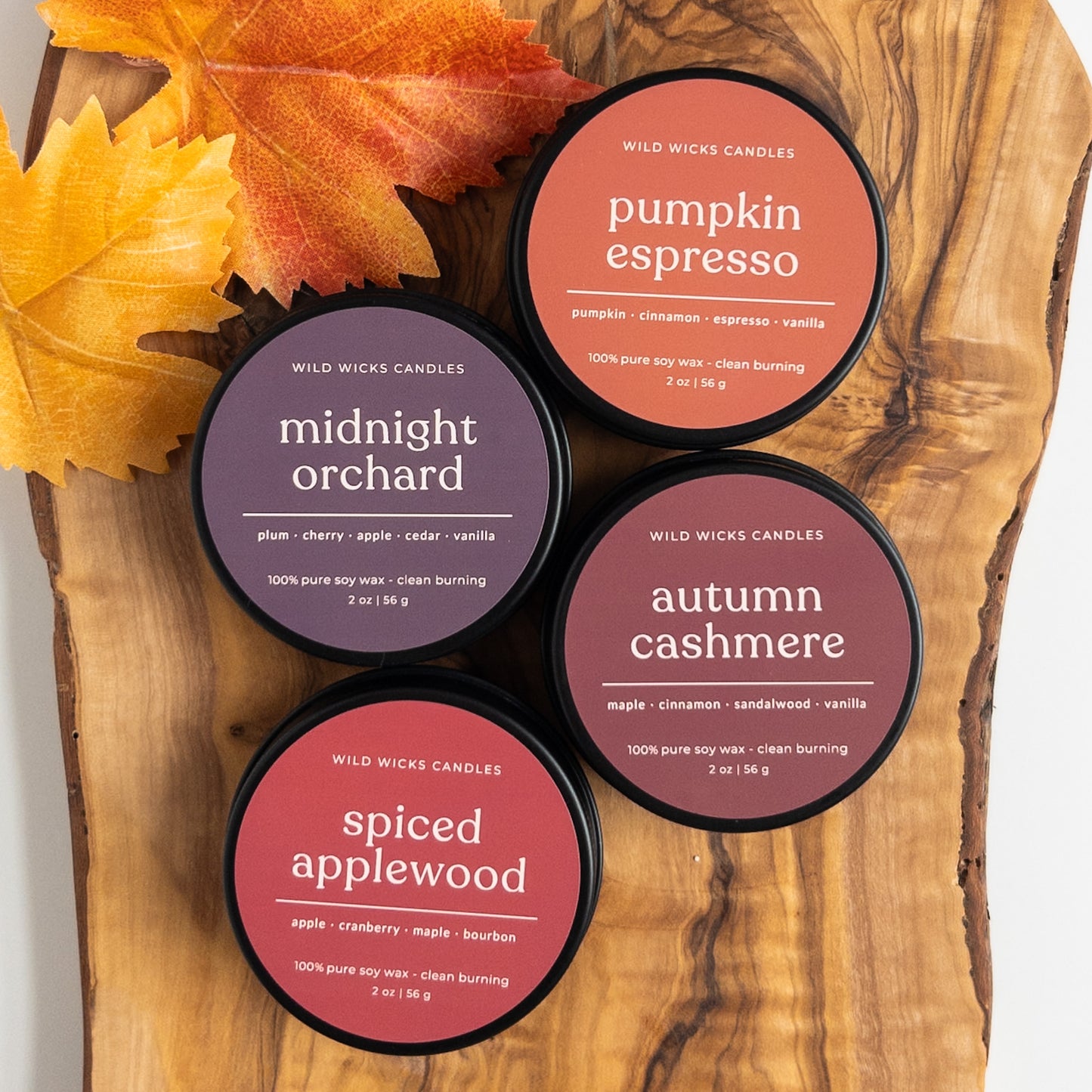 Fall Discovery Set