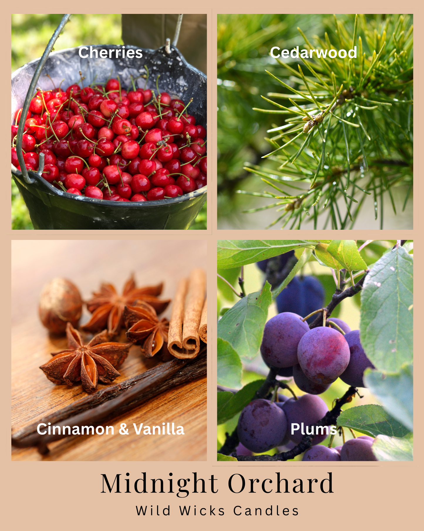 Midnight Orchard - Soy Candle - 8 oz.