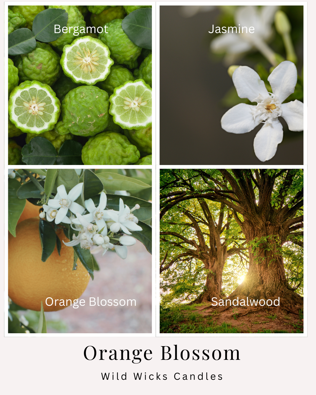 Orange Blossom - Room & Linen Spray