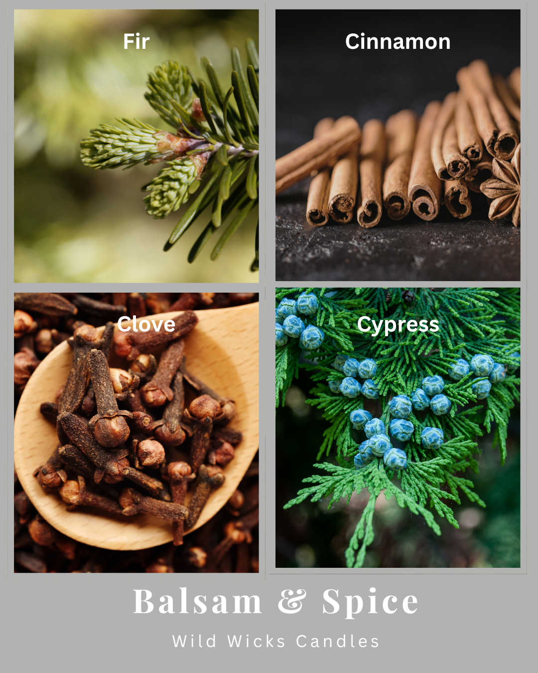 Balsam & Spice 8 oz. Candle