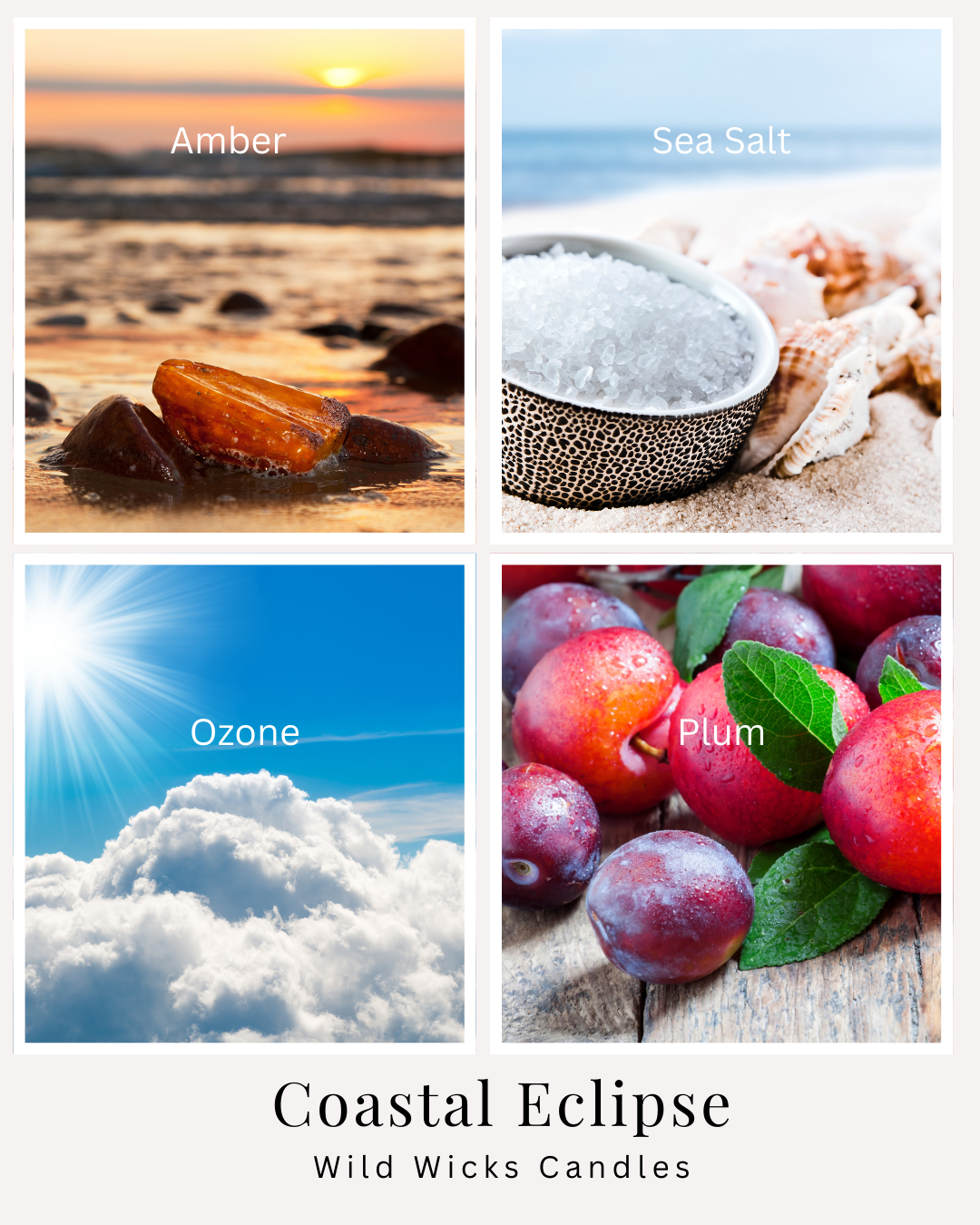 Coastal Eclipse - Soy Candle - 4 oz.