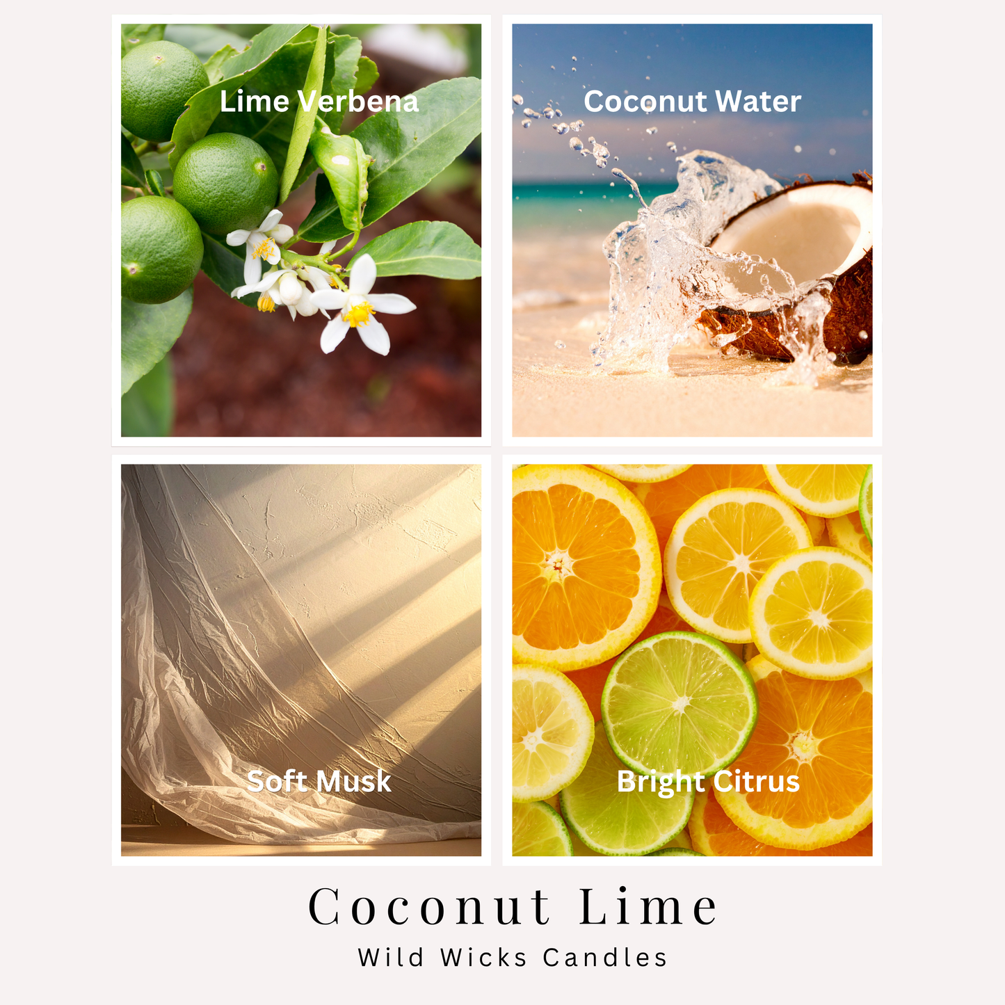 Coconut Lime 8 oz. Candle