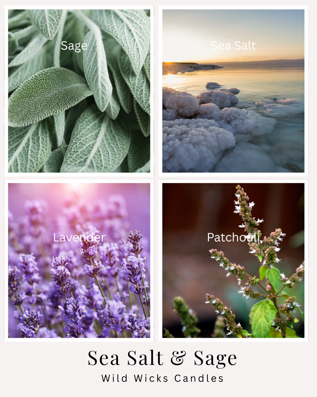 Sea Salt & Sage Candle - 8 oz.