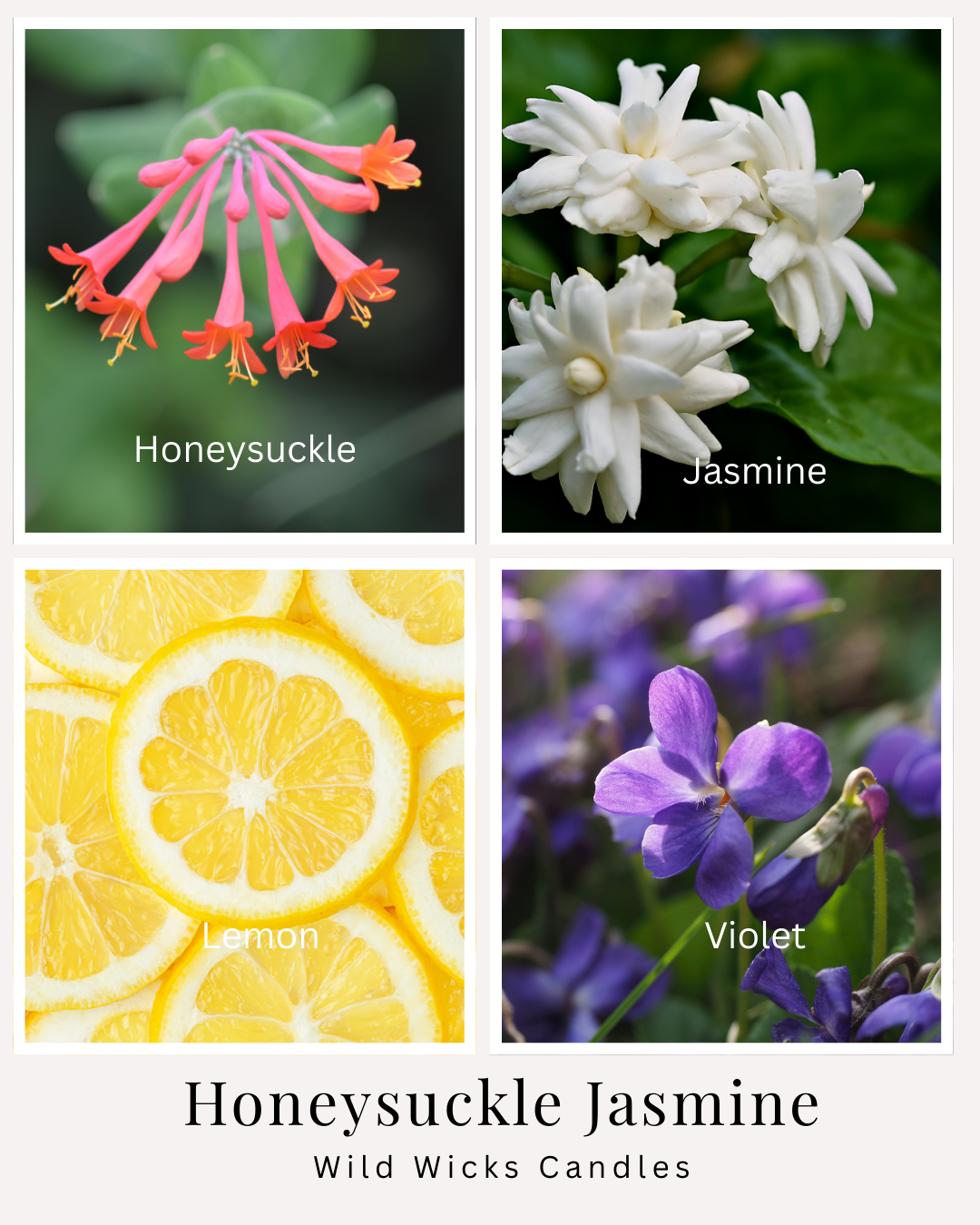 Honeysuckle Jasmine - Soy Candle - 4 oz.
