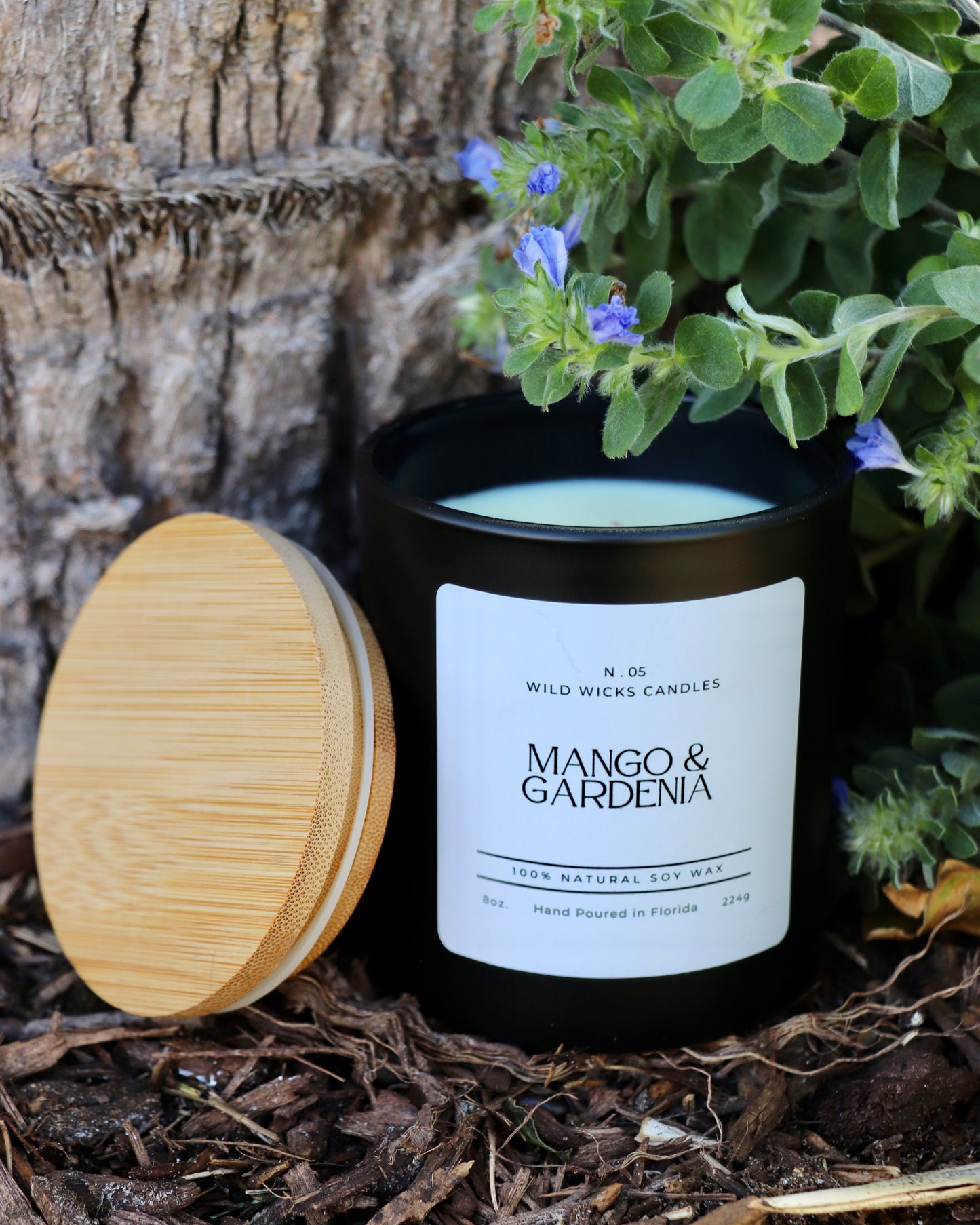 Mango & Gardenia - Soy Candle - 8 oz.
