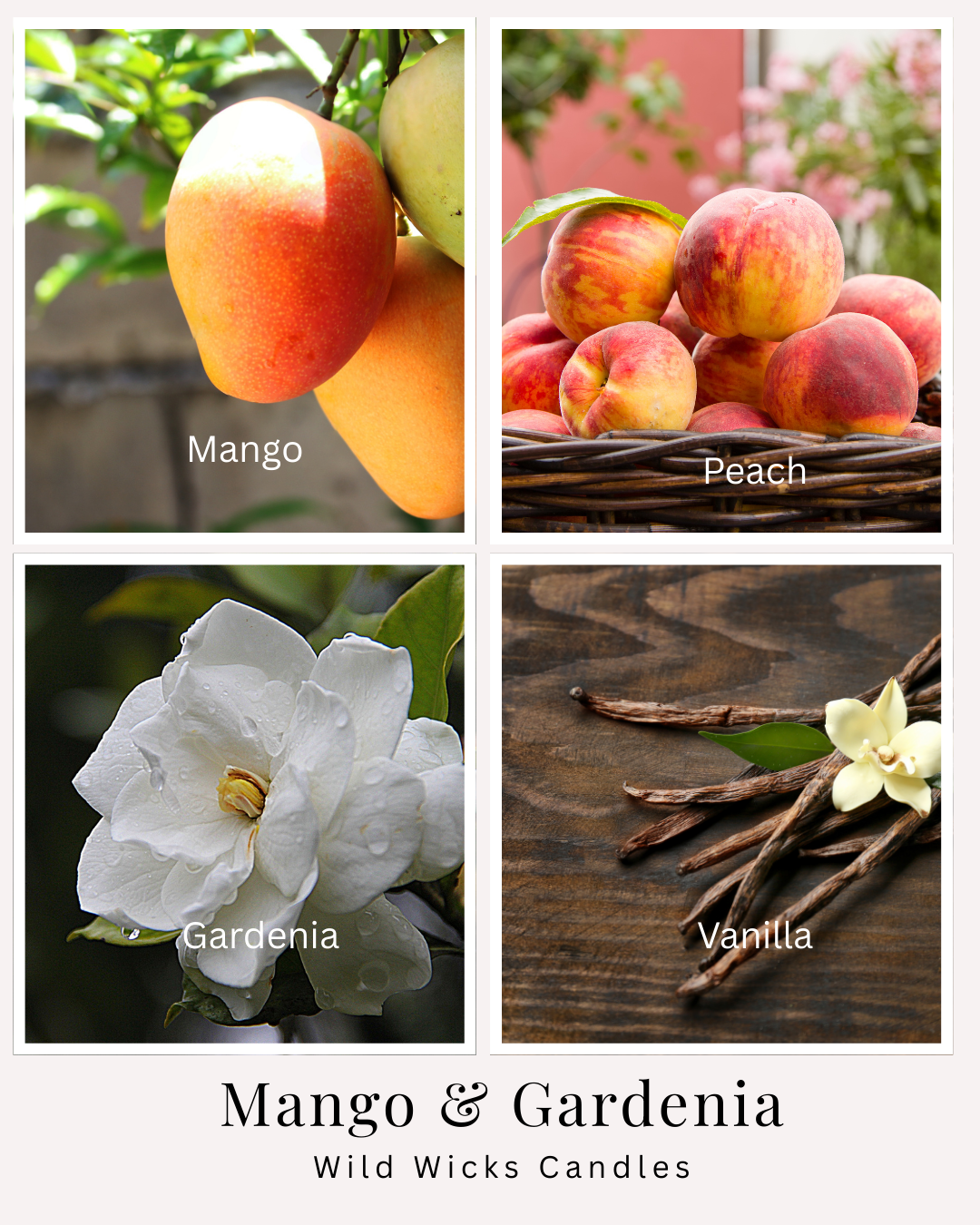 Mango & Gardenia - Soy Candle - 8 oz.
