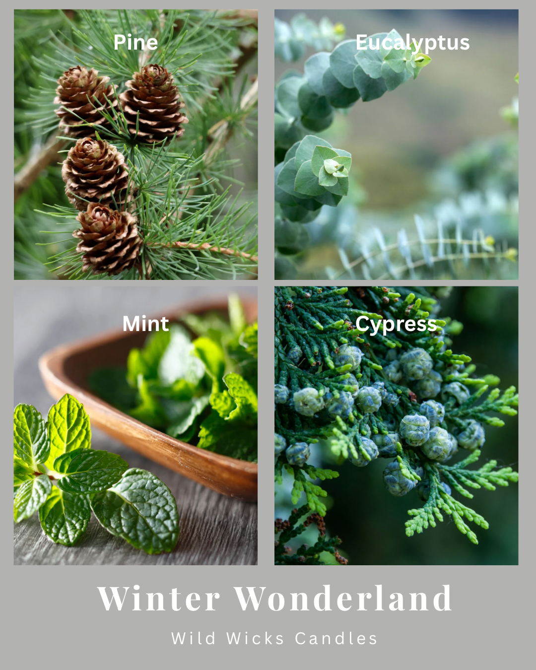 Winter Wonderland 8 oz. Candle