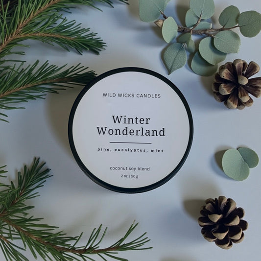 Winter Wonderland 2 oz. Candle