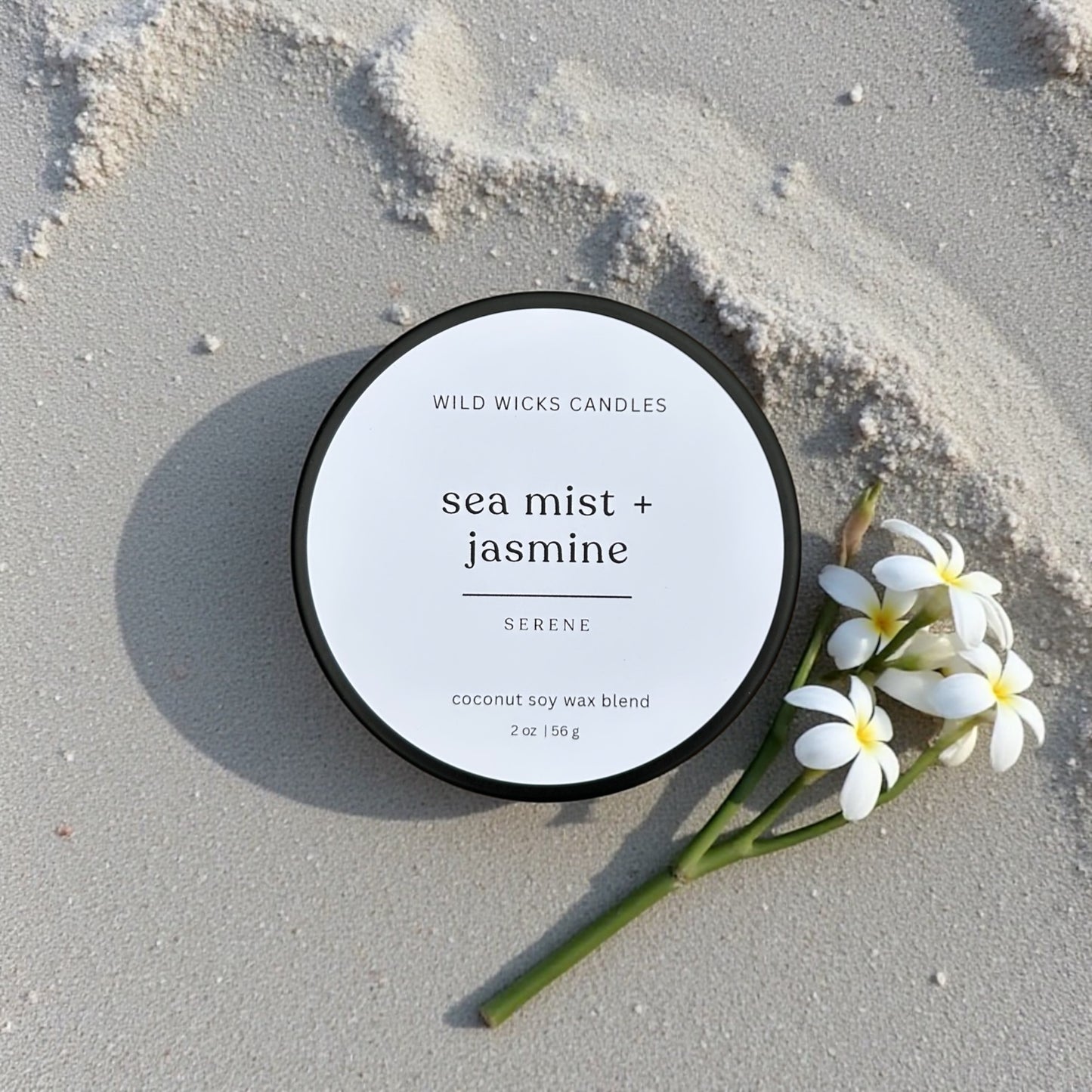 The Wellness Discovery Set