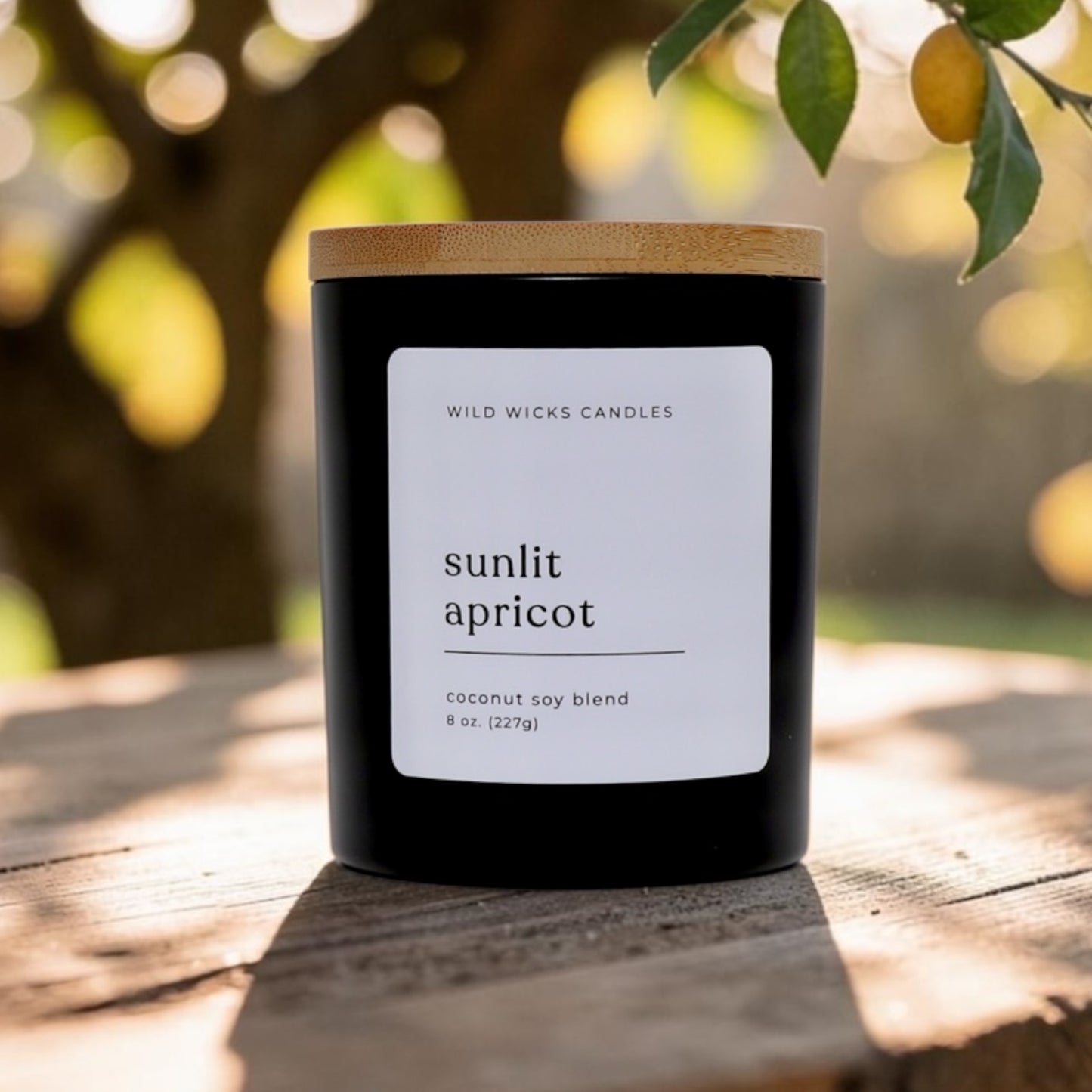 Sunlit Apricot 8 oz. Candle