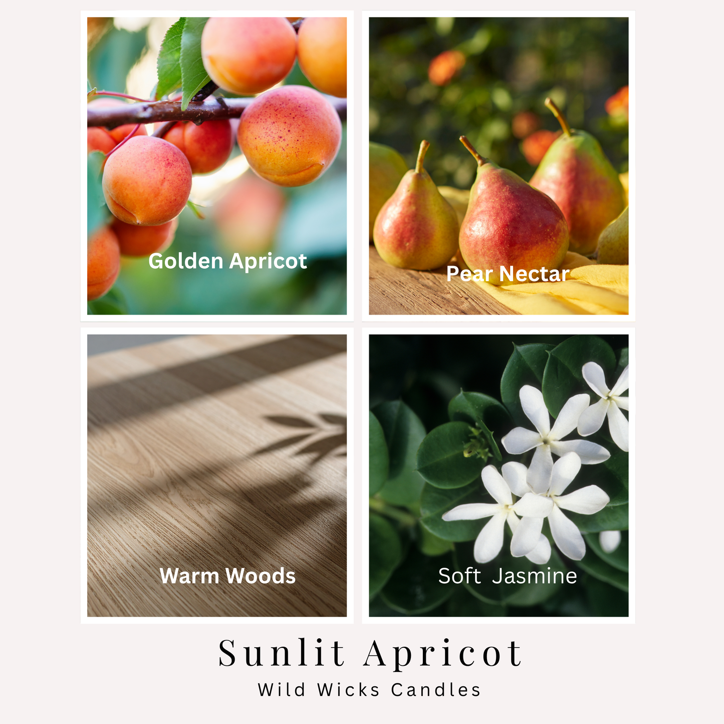 Sunlit Apricot 8 oz. Candle