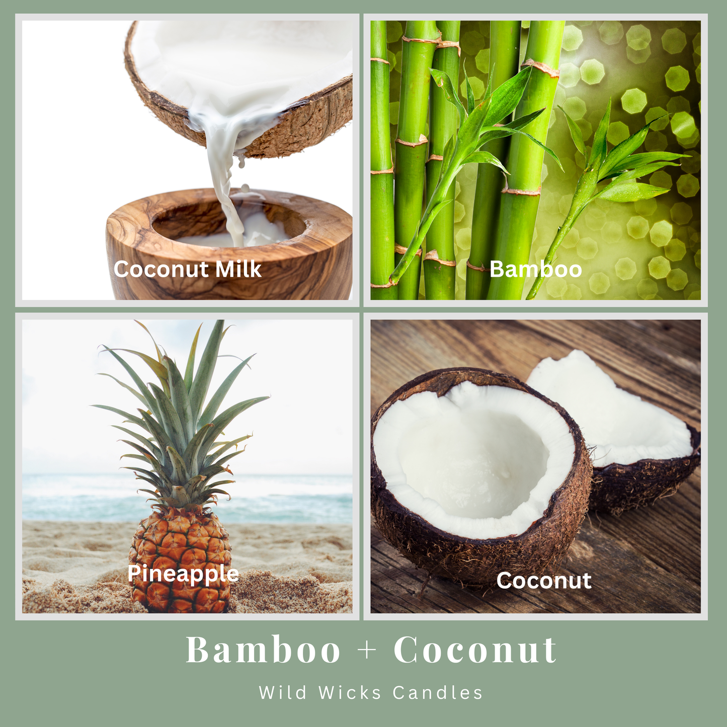 The Wellness Discovery Set